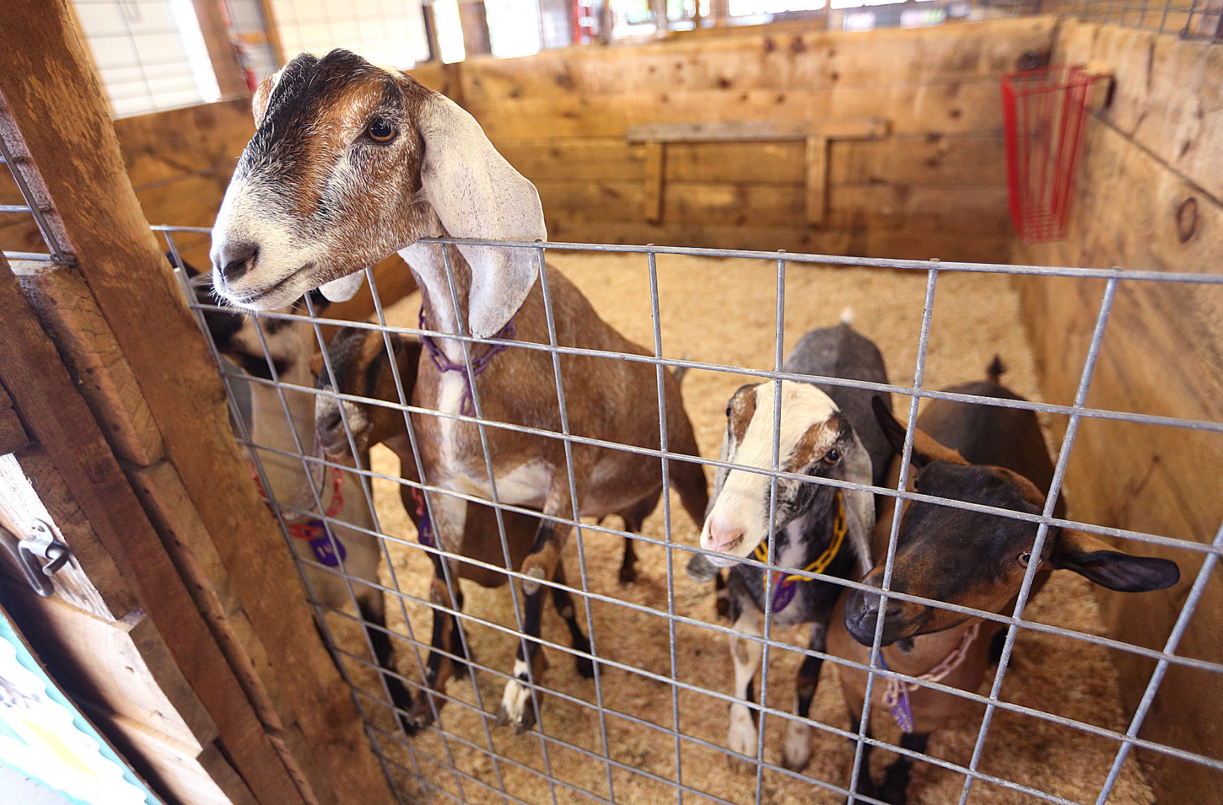 La Crosse Interstate Fair